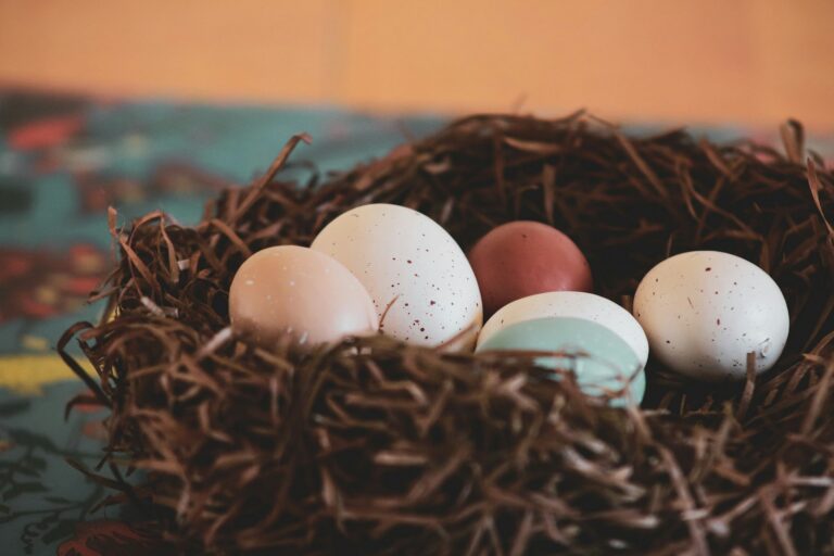 Retirement Plan Contribution Limits for 2016: No Changes