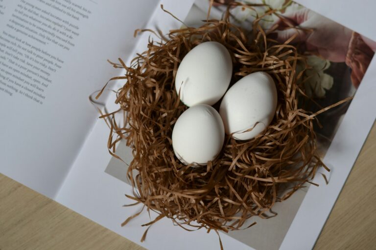 Small Business Retirement Plan: 3 Tax-Smart Options for Owners