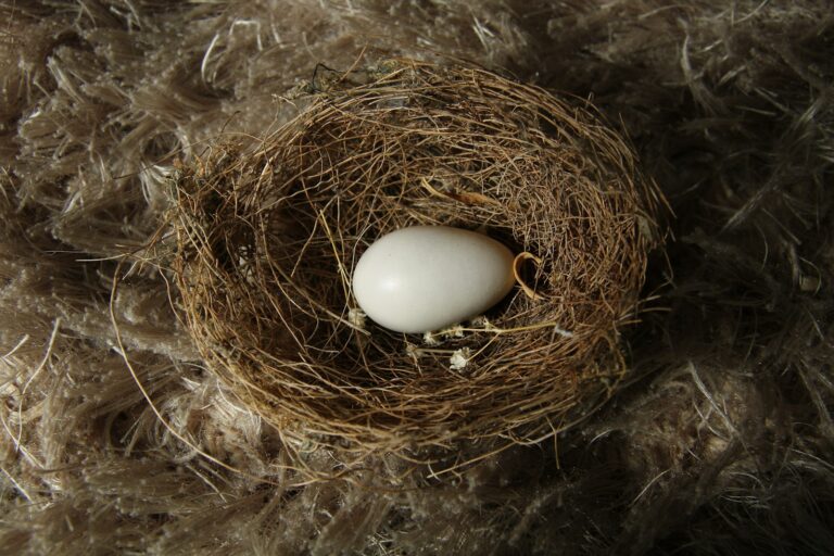Roth IRA Recharacterization: Can You Still Undo a Conversion?
