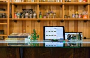 280E Demystified: What Cannabis Businesses Can and Cannot Deduct