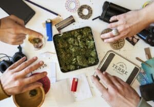 Choosing a Cannabis CPA: 7 Questions to Ask First